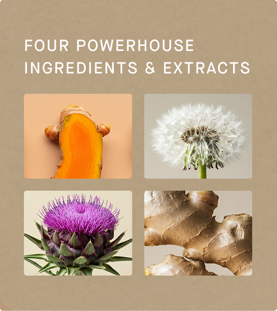 Zodrax for your Liver 3 Pack bundle