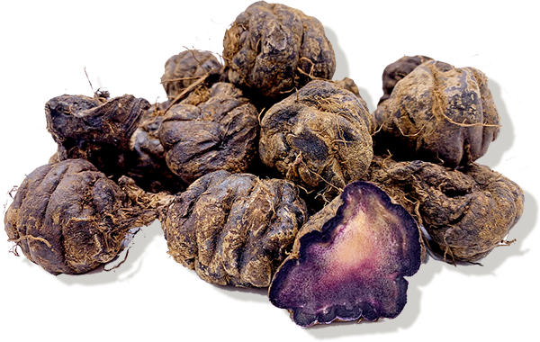 Maca Root